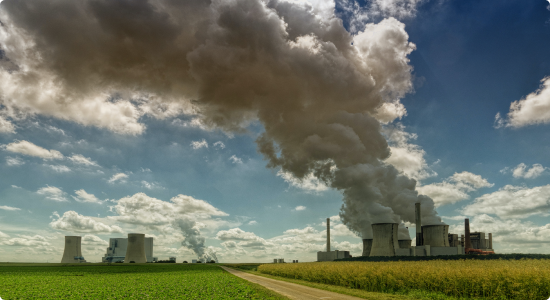 pexels-johannes-plen